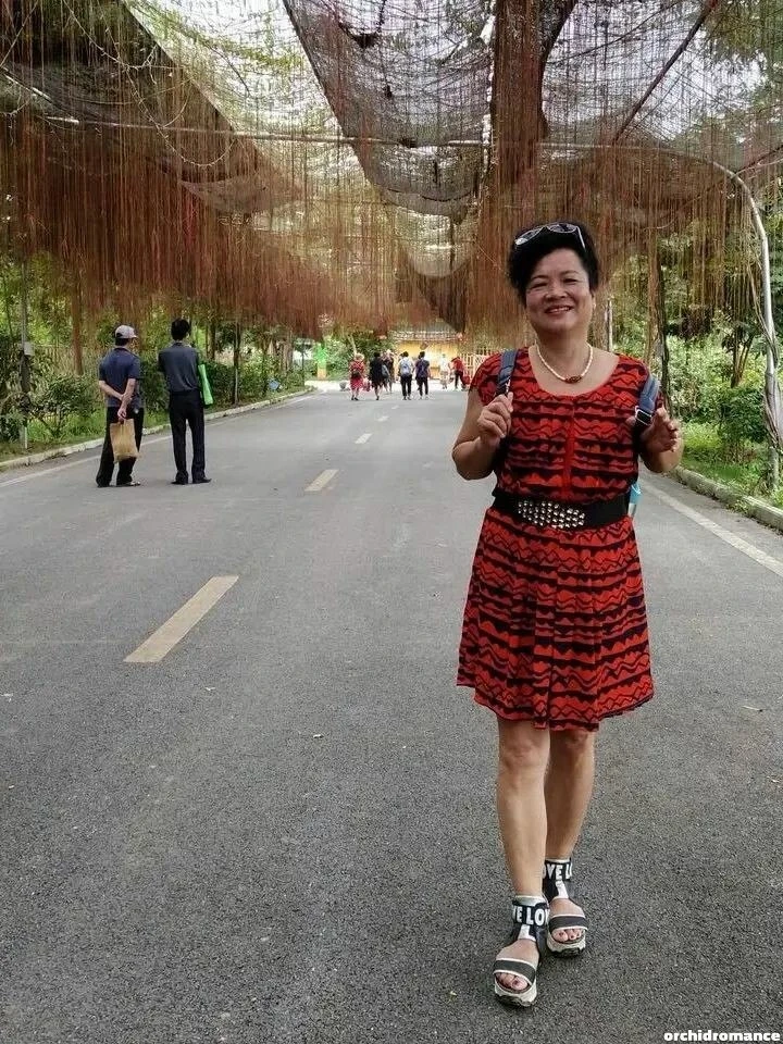Xiaoxiao Profile image 4